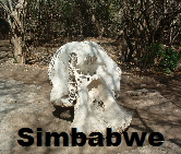 a_Simbabwe_001