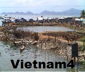 a_Vietnam011