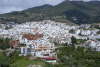 Competa