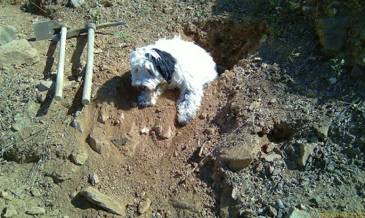 er behauptet es ganz alleine gegraben zu haben